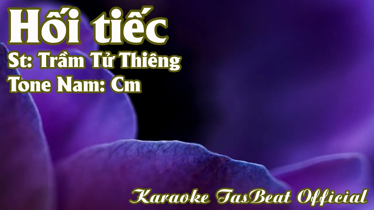 Karaoke Hối Tiếc Tone Nam | TAS BEAT