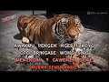 Download Lagu Story wa terbaru