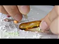 ASMR Destroying Pills