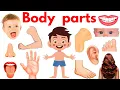 Lagu Parts of Body | Body Parts Name | Name of Body Parts in English with Pictures | #bodyparts #Educare