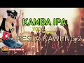 Download Lagu KAMBA IPA | PESTA KAWENG 2 | LAGU AMBON | KEVINS MUSIC PRODUCTION ( OFFICIAL VIDEO MUSIC )
