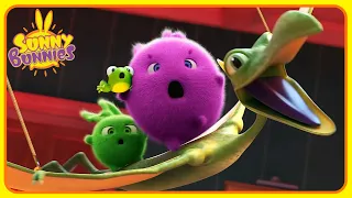 Boo, Hopper and Mimi Are In Trouble | Sunny Bunnies | Funny Cartoons For Kids