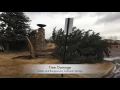 Wind gusts topple huge trees and blow off shingles in Colorado Springs area