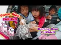 Download Lagu Borong Ikan cupang , pasar ikan Parung ramee seruuu !! ikan hias