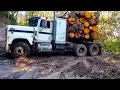POWERFUL TRUCKS Freightliner Kenworth Peterbilt International STUCK in severe off road condition