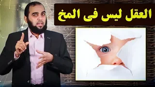 أين يقع العقل دع علم الأعصاب يجيبك هل يقع العقل في القلب أم في المخ حين يقع الملحد في نفس الخطأ 