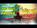 Download Lagu Mọi Thứ Xảy Đến Với Ta Đều Có Lý Do!
