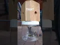 Carpenter Bee Trap REALLY WORKS