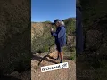Palisades Burn Scar is Recovering Quickly.
