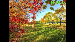 حسناء والجيبسى    يلا بينا يلا دندنها