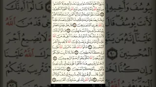 ماهر المعيقلي سورة يوسف مكتوبة صفحة 246 مصحف المدينة المنورة جودة عالية 