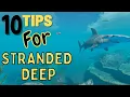 10 Things I Wish I Knew Before Playing Stranded Deep Tutorial