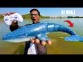 Download Lagu RC Big Blue Whale Shark Unboxing \u0026 Testing - Chatpat toy tv