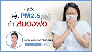 ฝุ่น PM 2.5 ส่งผลต่อสมองอย่างไร และมีความเกี่ยวข้องกับโรคอัลไซเมอร์หรือไม่