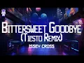 Download Lagu Tiësto, Issey Cross ⚡ Bittersweet Goodbye (Tiësto Remix)