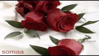 صديق احمد ريدك بدايات الفرح 