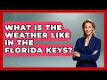 What Is The Weather Like In The Florida Keys - Boat Life Masters