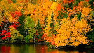 "September Autumn Peaceful Evening" Beautiful Relaxing Music, Peaceful Soothing Music by Tim Janis
