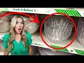 Download Lagu The Dollar Tree Aisle Everyone’s Been Ignoring… Until NOW!
