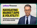 Navigating market dips and parsing the VIX Stocks in Translation