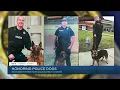 Henrico Police s K-9 unit applauded as workload grows during pandemic