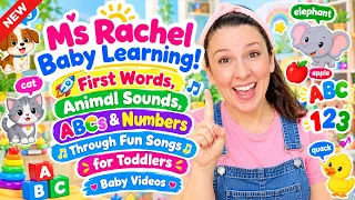 Ms Rachel Baby Learning! 🚀 First Words, ABCs, Numbers & Animal Sounds for Toddlers - Baby Videos