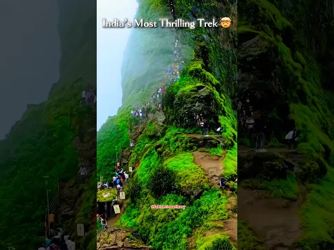 Harihar Fort 🏔️🔥 — Not for the Faint-Hearted!One of Maharashtra’s most thrilling climbs😱⛰️#shorts
