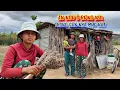 Download Lagu BỎ LÀNG, 2 vợ chồng trẻ tuổi nhất miền núi, chạy vô rừng ở ẩn - tập 1343