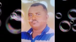 الفنان عبدالمحمود 