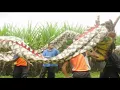 Download Lagu BANTENG NGAREP PERANG - Banteng PANJI LARAS - Gondang Legi - Malang