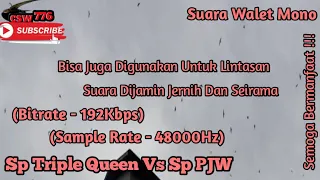 Download SP TRIPLE QUEEN MIX SP PJW PELANGI JAYA WALET (MONO) - SUARA PANGGIL WALET PEMIKAT KOLONI LINTASAN MP3