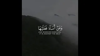 صباح هادئ يبدأ بحمد ﷲ على ك ل شيء أصبحنا واصبح الملك لله  صباح هادئ يبدأ بحمد ﷲ على ك ل شيء أصبحنا واصبح الملك لله