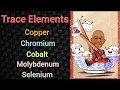 Trace Elements Copper PSM lecture Community Medicine lecture Public Health Lecture Arpits