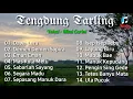 Download Lagu Tarling Tengdung