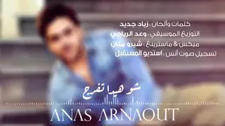 أنس أرناؤوط 