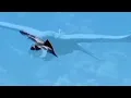 Indahnya Ciptaan Tuhan. Lagu: Lirik Lagu Rohani Ku Kan Terbang Tinggi Melayang.
