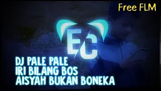 Download Pale Pale IRI BILANG BOSS VIRAL AISYAH BUKAN BONEKA Dj TIK TOK [EC•RMX] MP3