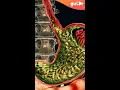 What Causes Acid Reflux 3D Animation