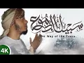 Download Lagu Shakir Khan Rahmani | The way of the tears COVER | Arabic Nasheed Sabeel lyric 4K