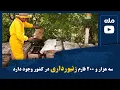 Download Lagu وزارت زراعت، آبیاری و مالداری می‌گوید، سه هزار و ۲۰۰ فارم زنبورداری در کشور وجود دارد