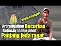 Download Lagu cara mencetak lovebird balibu jeda rapat rasa konslet