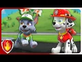 Rocky teaches Marshall to Save Water Marshall PAW Patrol Cartoons for Kids