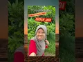 Download Lagu Jangan ketawa nanti kau dosa #tahantawa #party #memes