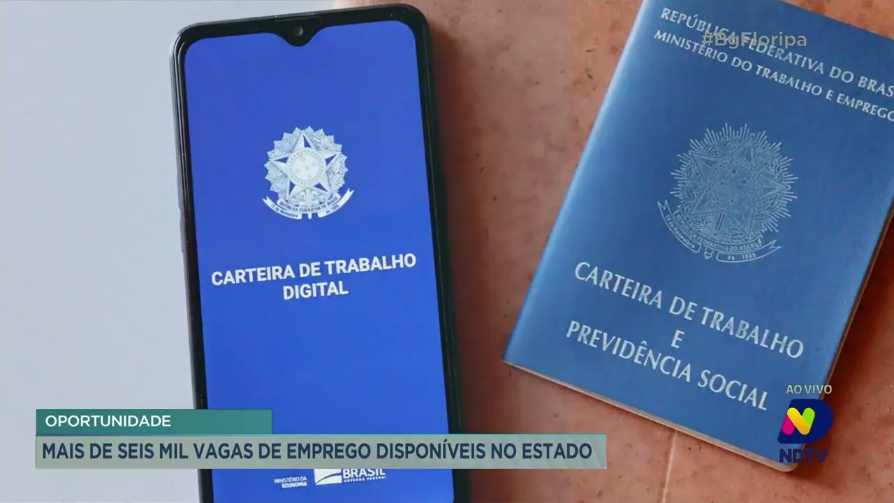 Mais de seis mil vagas de emprego disponíveis em Santa Catarina