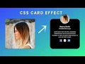 CSS Card Hover Effect Profile Card Hover Effect Using HTML And CSS