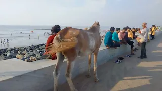 দীঘার সৌন্দর্য || digha's natural view 2