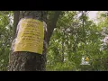 Warning In Place After Teen Was Bitten By Coyote In Swampscott