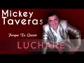 Mickey Taveras - Porque Te Quiero (Audio Oficial)