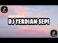 DJ TERDIAM SEPI ANDAIKAN WAKTU BISA KU PUTAR KEMBALI MENGKANE ||viral tiktok
