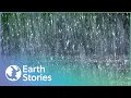 How Does Rain Actually Work Rain The Untold Story
